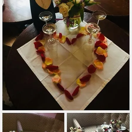 库里塞克旅馆 招待所 兹诺伊莫