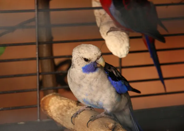 Pensionat Kulisek Znojmo